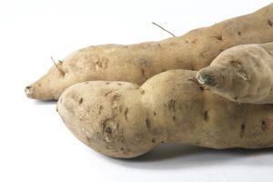 _sweet_potatoes sweet potatoes Sweet Potatoes