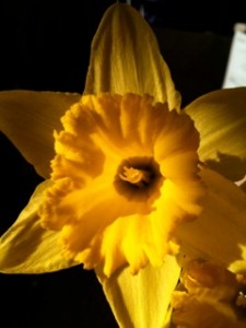 One of Your many masterpieces