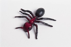 MP900175476 300x197 Go to the Ant