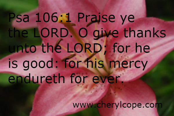 mercy-scripture-2