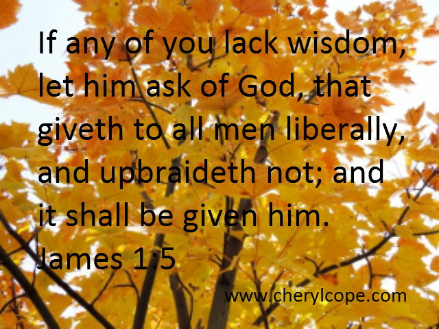 Wisdom Quotes and Scriptures