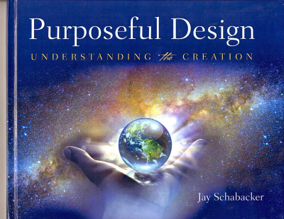 Book-Review-Purposeful-Design-by-Jay-Schabacker-l