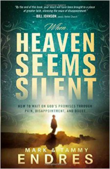 book-review-when-heaven-seems-silent-by mark-and-tammy-endres-b