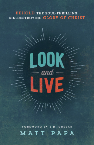 book-review-look-and-live-by-matt-papa-b